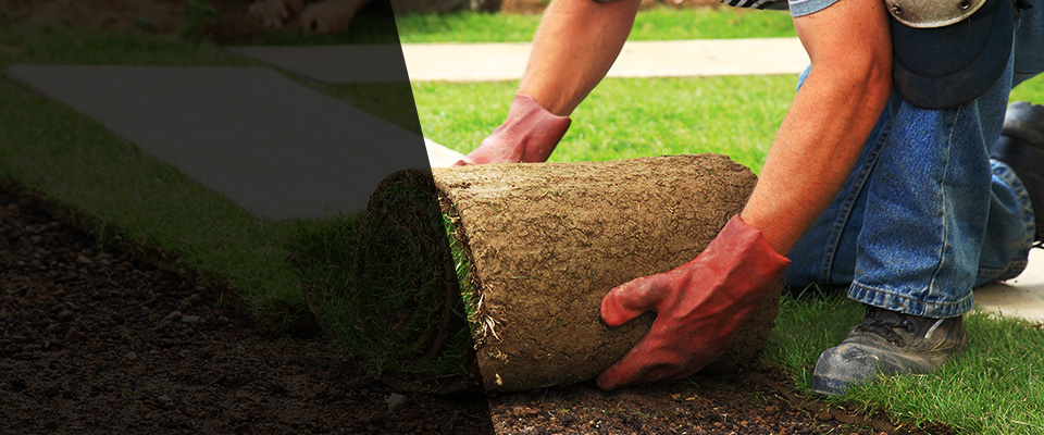Bushnell Landscapers
